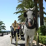 Beachside Puerto Banus Stunning 312 *