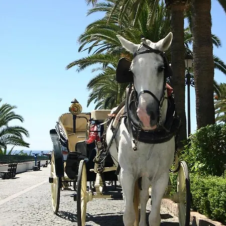 Beachfront Puerto Banus *