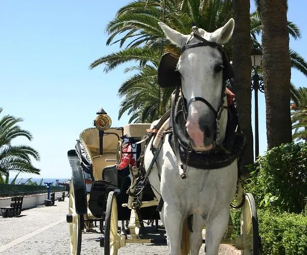 Beachside Puerto Banus Stunning 312 *
